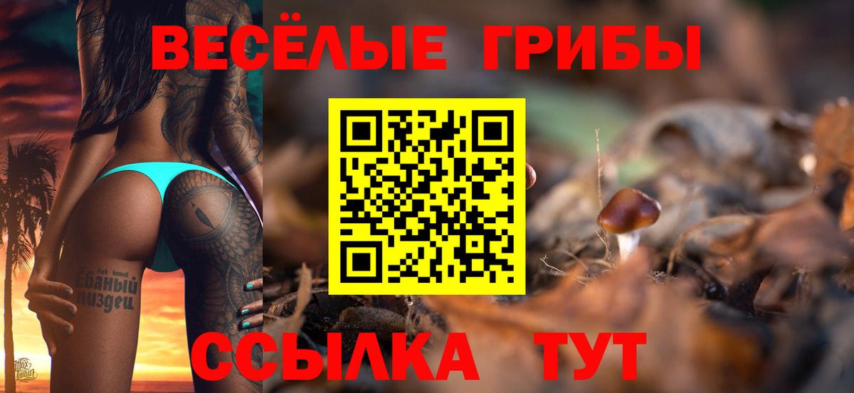 цена наркотик  Псилоцибиновые грибы Cubensis  Вход с VPN  Красногорск  Псилоцибиновые грибы GOLDEN TEACHER 